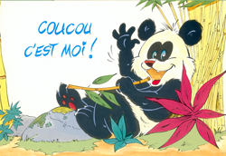 panda couleur